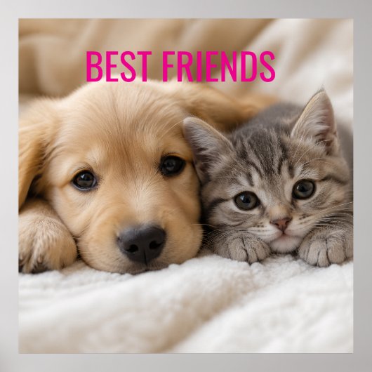 Poster Chiot endormi et chaton câlins (Devant)