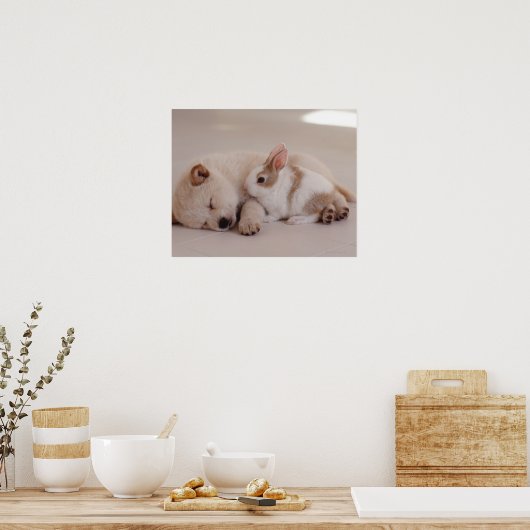 Poster Chiot et lapin (Cuisine)