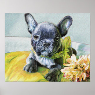 Poster chiot français