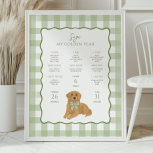 Poster Chiot Golden Retriever 1er Anniversaire Étape Impo