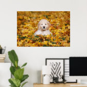 Poster Chiot Goldendoodle En Feuilles Automnes (Bureau à domicile)