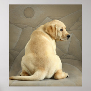 Poster Chiot jaune de labrador retriever