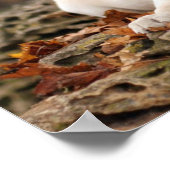 Poster Chiot jaune du Labrador à l'automne (Coin)