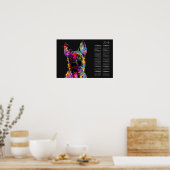 Poster Chiot malinois - Berger belge - Maligator (Cuisine)