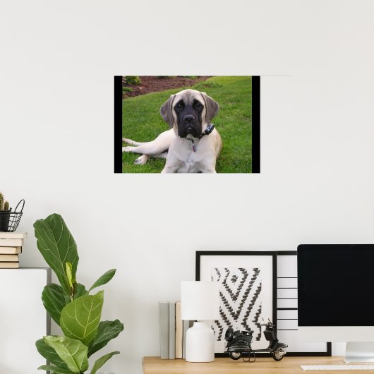 Poster Chiot mastiff anglais (Bureau à domicile)