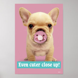 Poster Chiot mignon avec Pacificateur