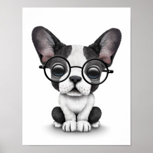 Poster Chiot mignon de bouledogue français avec des