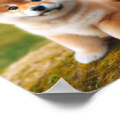 Poster chiot mignon Shiba Inu (Coin)