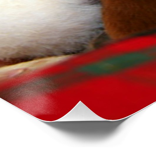 Poster Chiot paisible (Coin)