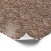 Poster Chiot pointeur allemand (Coin)