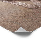 Poster Chiot pointeur allemand (Coin)