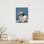 Poster Chiot portant des lunettes épaisses (Cuisine)