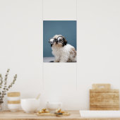 Poster Chiot portant des lunettes épaisses (Cuisine)