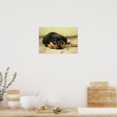 Poster Chiot rottweiler (Cuisine)