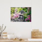 Poster Chiot Schnauzer standard dans un jardin fleuri (Cuisine)