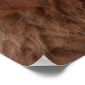 Poster chiot tibétain mastiff (Coin)