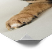 Poster Chiot Très Mignonne Avec Les Yeux Amoureux (Coin)