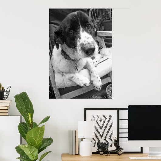 Poster Chiot triste (Bureau à domicile)