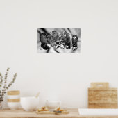 Poster chiots à tête blanche (Cuisine)