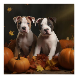 Poster Chiots American Staffordshire Autumn Delight