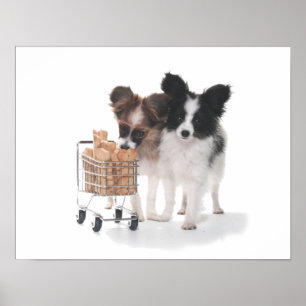 POSTER CHIOTS AVEC LE CHARIOT