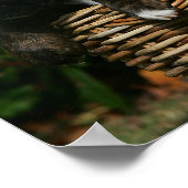 Poster Chiots de boîte dans le panier (Coin)