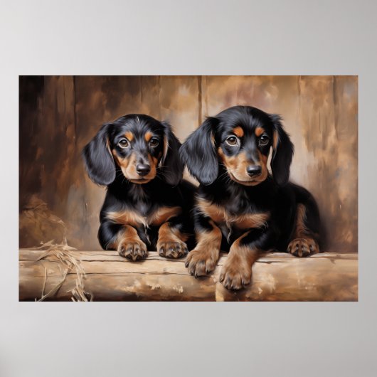 Poster Chiots de Dachshund (Devant)
