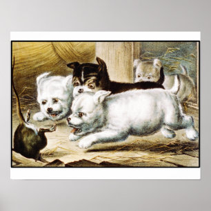 Poster Chiots de Rat terrier - beaux-arts vintages