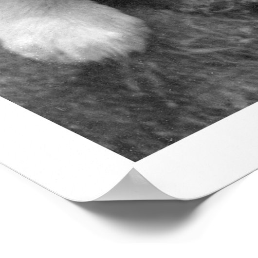 Poster Chiots en Alaska 1921 (Coin)