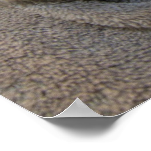 Poster Chiots endormis (Coin)