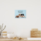 Poster Chiots espagnols Cavalier King Charles (Cuisine)