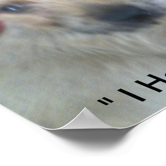 Poster chiots mignons (Coin)