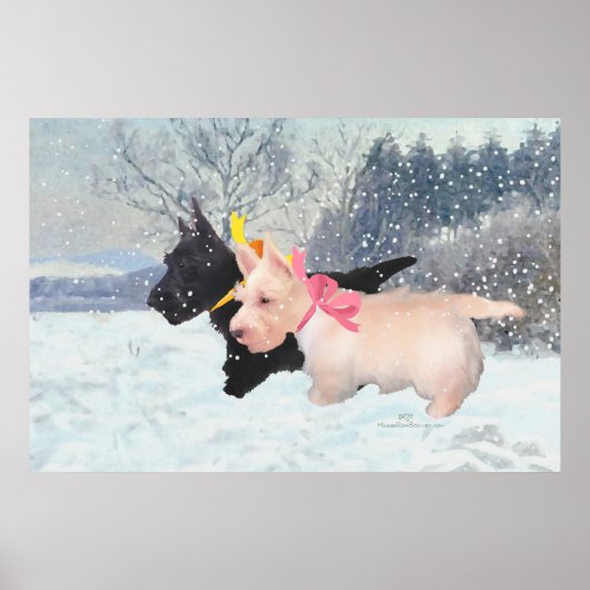 Poster Chiots Scottie (Devant)