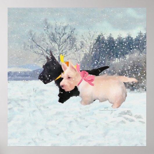Poster Chiots Scottie (Devant)