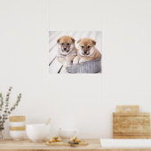 Poster Chiots Shiba Inu dans une baignoire en aluminium (Cuisine)