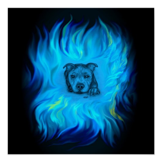 Poster Chiots Staffy Bleu (Devant)