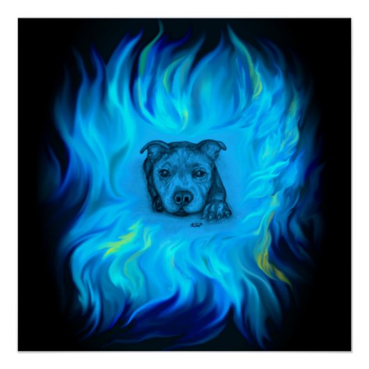 Poster Chiots Staffy Bleu (Devant)