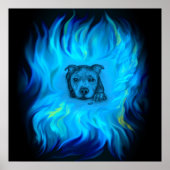 Poster Chiots Staffy Bleu (Devant)