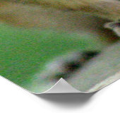 Poster Chip (Coin)