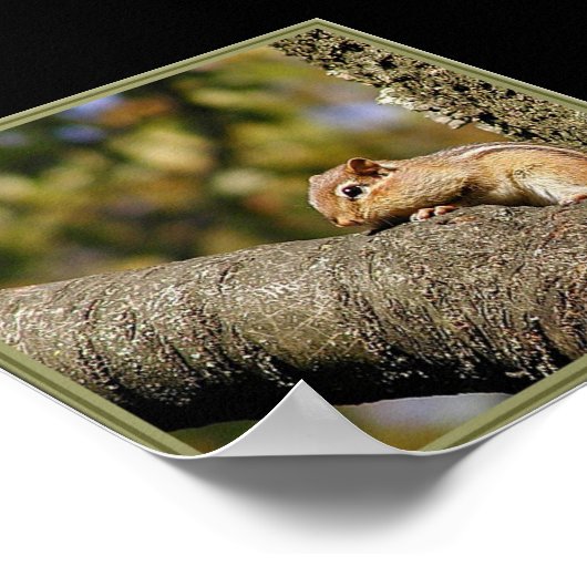 Poster Chip ou Dale ? (Coin)