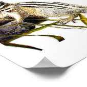 Poster Chipmunk (Coin)