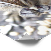 Poster Chipmunk (Coin)