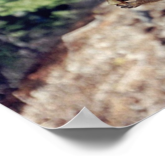 Poster Chipmunk (Coin)