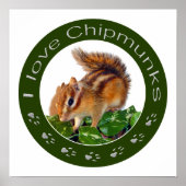 Poster Chipmunk (Devant)