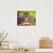 Poster Chipmunk aux cacahuètes (Cuisine)