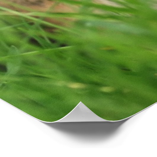 Poster chipmunk avec signe vierge (Coin)