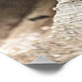 Poster Chipmunk dans une pile de bois (Coin)