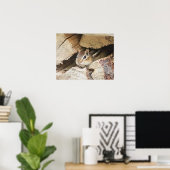 Poster Chipmunk dans une pile de bois (Bureau à domicile)