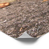 Poster Chipmunk - Imprimer (Coin)