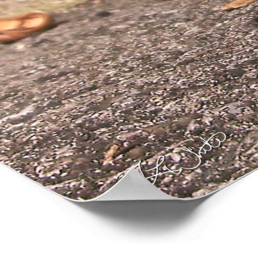 Poster Chipmunk - Imprimer (Coin)